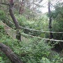 이산치안센터 이미지