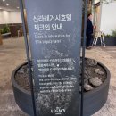 이마트24경주석계점 | 신라 레거시호텔 경주 : 아기랑 방문 후기, 수페리얼 풀 트리플룸