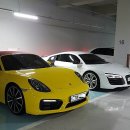 엠알렌트카 이미지