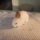 남부동물병원 이미지