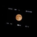 유림-1019 이미지