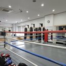 레이블YG센터 이미지