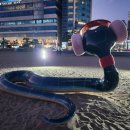 1박2일 아래 이미지