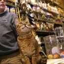 (주)선진펫 이미지