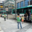 오아시스 이미지