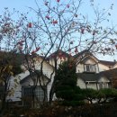 원당전원마을 이미지