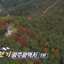 성주로164번길 | 6시내고향 고향을부탁해 오만보기 광주 모노레일 탄 곳, 가지 파는 곳 어디?