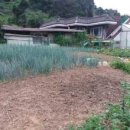 덕산면043 이미지