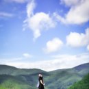 산양목장 Daum카페