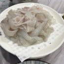 은하횟집 | 여수 돌산 막회 추천 은하횟집 내돈내산 초강추 후기!