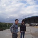 영림농장 이미지