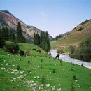 산들가축 이미지