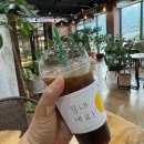이슬처럼낮술밤술