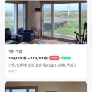 제주노을보리 이미지