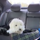 하릅원 | 하릅원 두번째 방문 후기 - 하동 애견펜션 추천(애견견 펜션, 애견동반 카페)