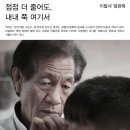 나무이발사