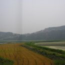 사금평 Daum카페