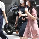금제PVC 이미지
