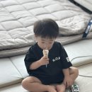 신안세탁 | 신안 퍼플섬 오션뷰 바이올렛 풀빌라