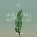 소심IN