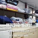 일동하마빨래방 이미지