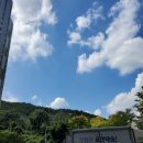 서면밀면 이미지