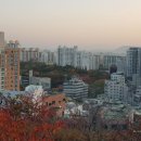 랜드21공인중개사사무소 이미지