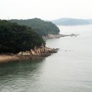 연육교 이미지
