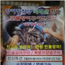 금천수산 민물장어 이미지