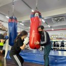 최기수복싱체육관 이미지