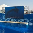 예원카정비 | [여행일기] 중국 상해 여행 DAY 3 (feat.번개장터)