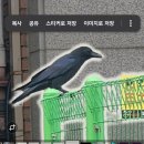 영풍파일(주) | new sun bock many getget