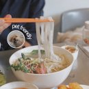 pet16버5190 | 성신여대쌀국수 애견동반 동방 후기