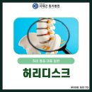 서울 척추병원 허리 통증 질환 척추분리증 증상은 이미지