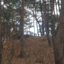 모산봉등산로 이미지