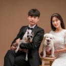 봉구네사진관&컬러스포토 이미지
