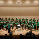 하와이 전통악기 우쿨렐레 이미지