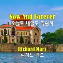 Richard Marx - Now And Forever 이미지