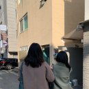 설레네 이미지