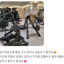 뉴라이프짐화정점 2주년 감사 이벤트🎈화정헬스 화정PT
