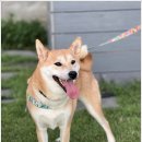 갬성드 애월 이미지