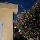 느긋한 시절 이미지