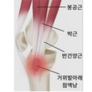 영짐(YOUNG GYM) 이미지