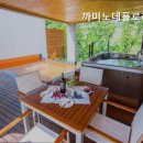 까미노데플로레스타2 이미지