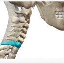 헤이데이짐 영천점 이미지