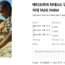 허니소농장 네이버블로그