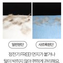 엘르독 | 강아지 방석 리뷰 ) 바잇미 X 엘르독 방석 쿠담이