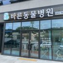 영동동물병원 이미지