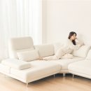 더스윙 | 더뉴폼 엘나스 스윙 소파, 실제 사용 후기!