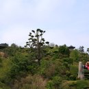 유달산 이미지